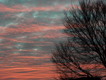  - Beautiful red Sunrise sky -PC139060-cr1-350